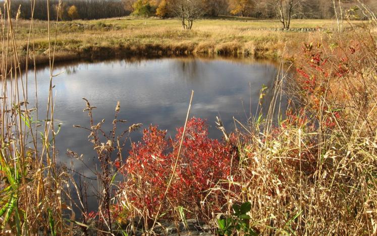 Pearson Farm