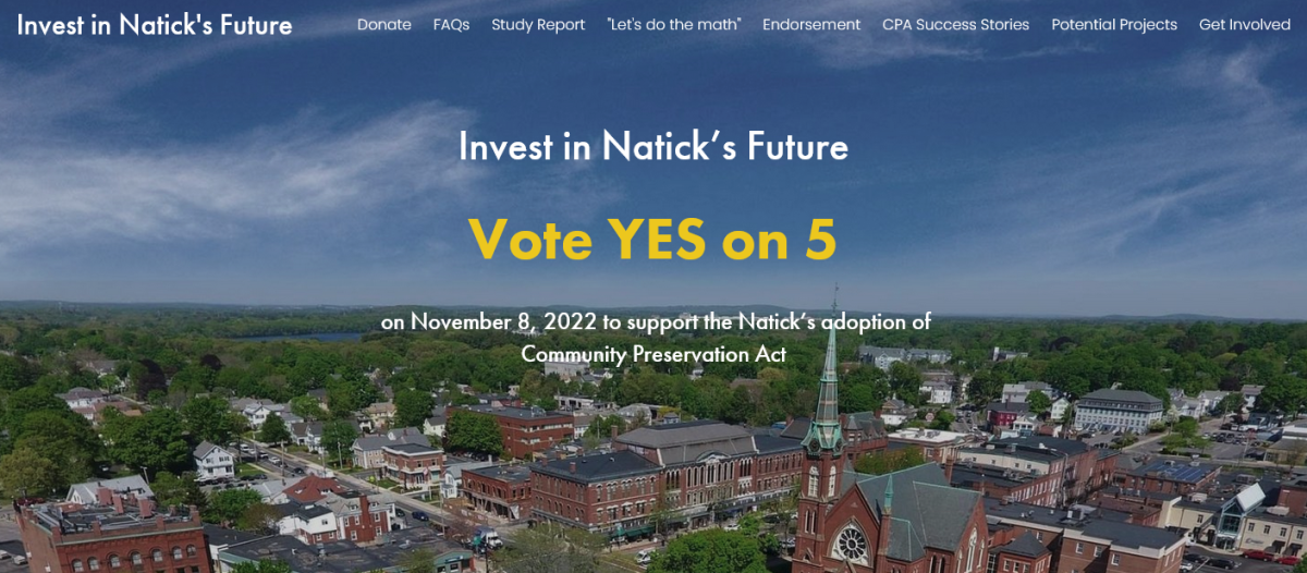 Natick CPA Campaign Website