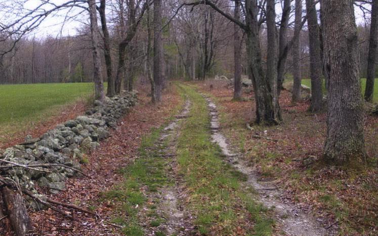 Sweetwilliam Farm