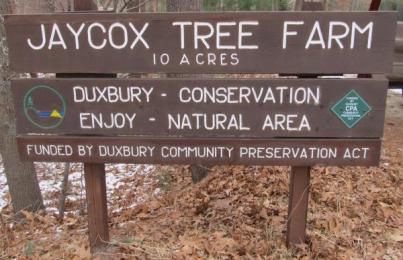 Duxbury Jaycox Tree Farm CPA Sign