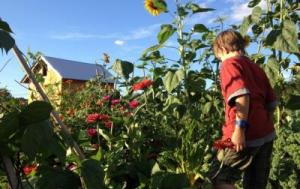 Community Gardens