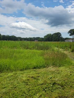 Medeiros Family Farm Fields