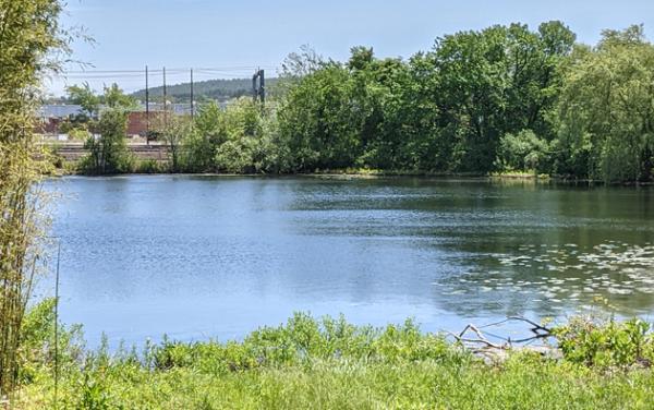 Sprague Pond in Boston