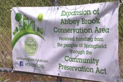 Springfield Abbey Brook Banner