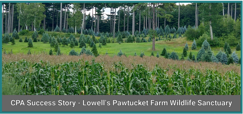 Lowell’s Incredible CPA Debut - Transforming “Rollie’s Farm” into the Pawtucket Farm Wildlife Sanctuary
