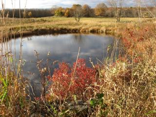 Mendon Pearson Farm