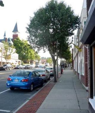 A sidewalk on a tree-lined Main Street. This type of project would not be allowable with CPA funds.