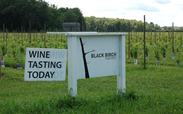 Black Birch Vineyard and Sliwoski Farm Property