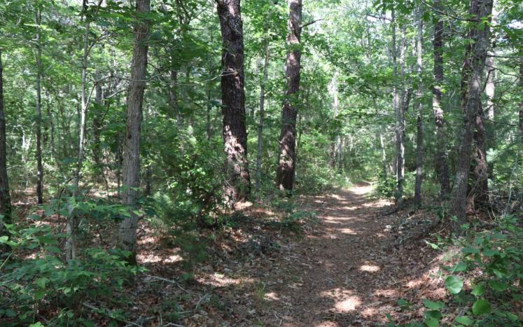 CPA Partnerships in Falmouth: Land Conservation & Housing Opportunities at North Falmouth Woodlands
